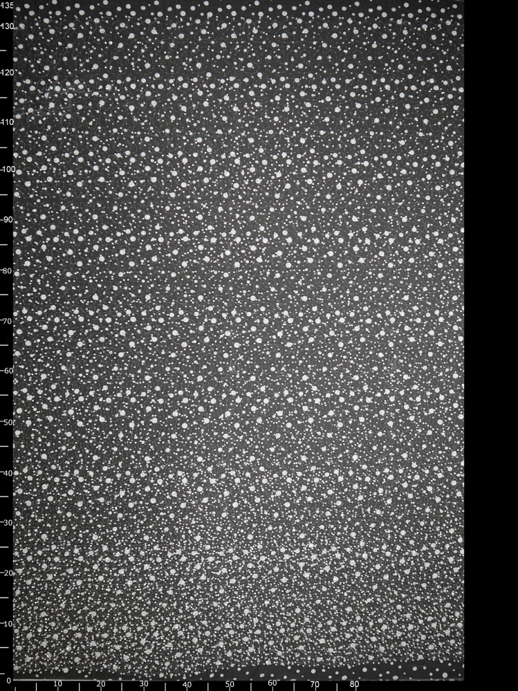 Haft na Tiulu VL-295