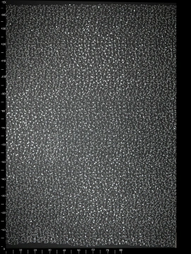 Haft na Tiulu VL-309