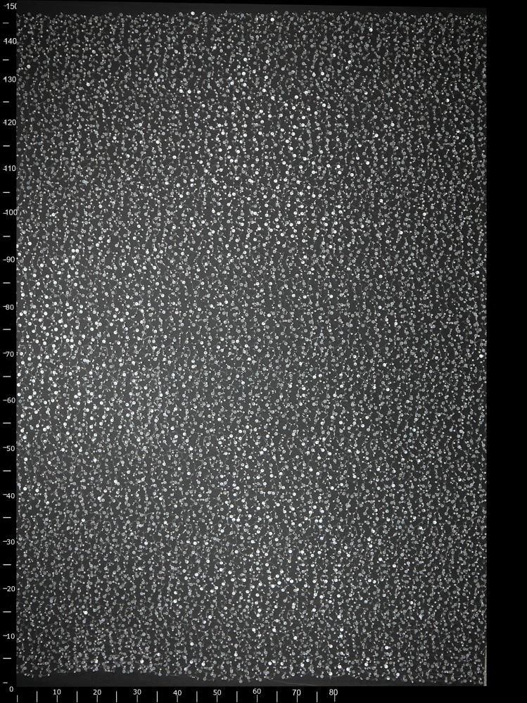 Haft na Tiulu VL-309