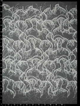 Haft na Tiulu VL-503