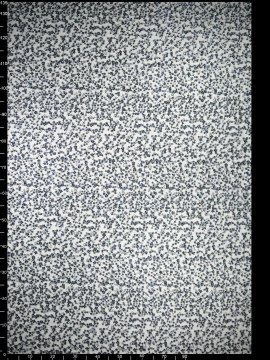 Haft na Tiulu vl-507