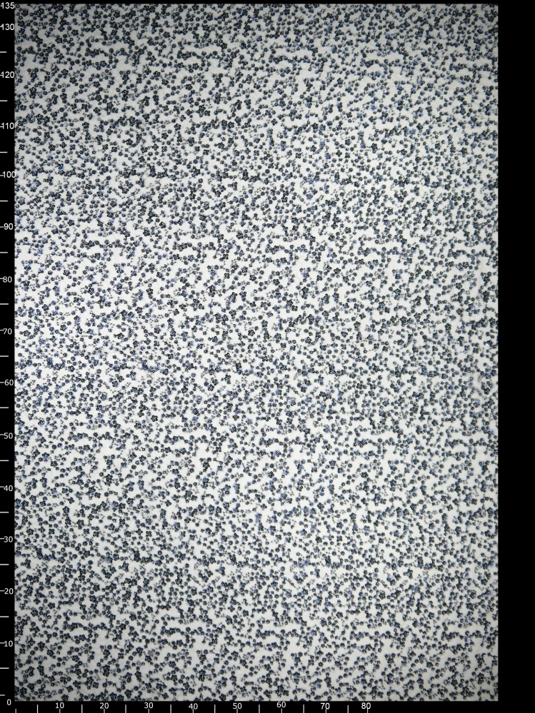 Haft na Tiulu vl-507