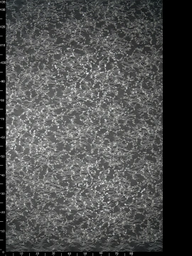 Haft na Tiulu VL-343