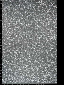 Haft na Tiulu vl-350