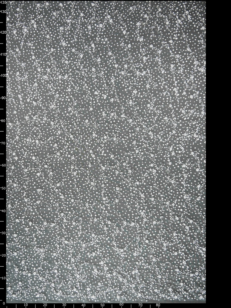 Haft na Tiulu vl-350