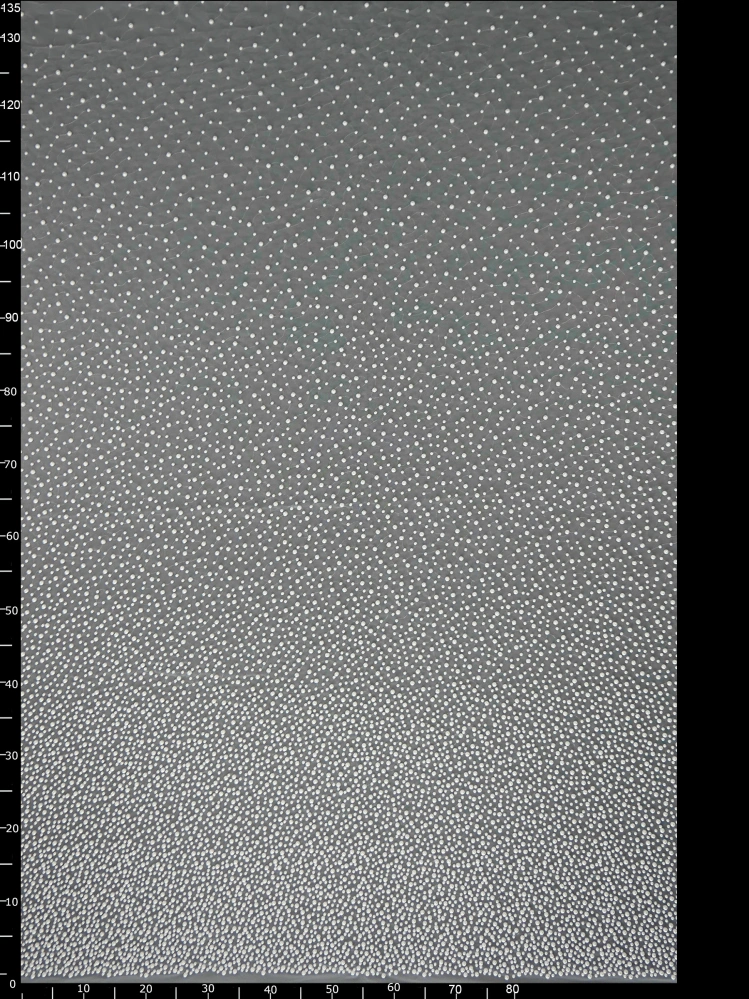 Haft na Tiulu VL-283